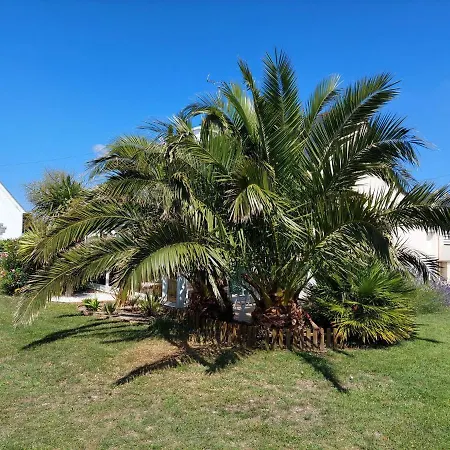 Cottage, * Plouhinec (Finistere)